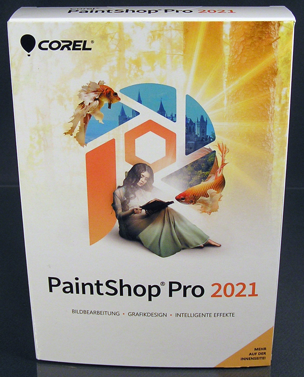 Corel Pro 2021 versione completa 2 PC + manuale (pdf